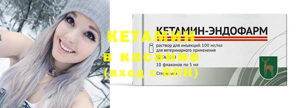 прущие грибы Бронницы