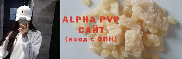 стафф Бородино