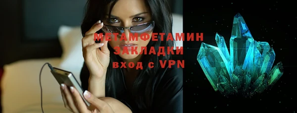 прущие грибы Бронницы