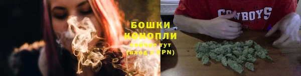 прущие грибы Бронницы