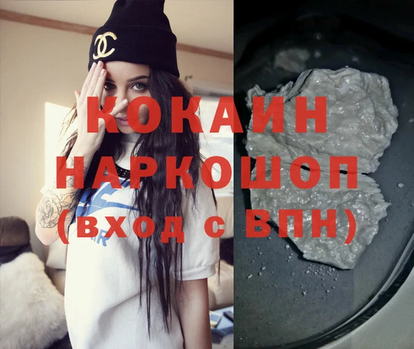 прущие грибы Бронницы