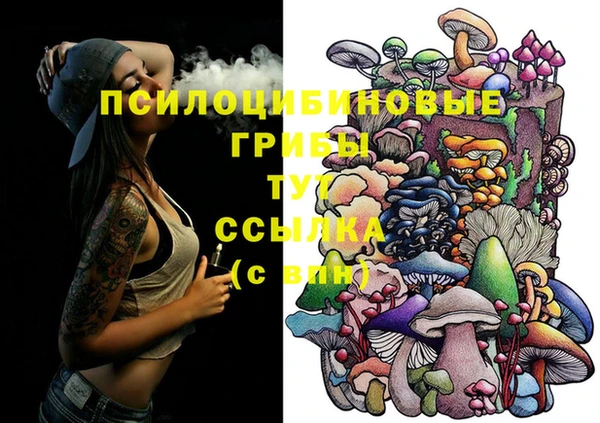 прущие грибы Бронницы
