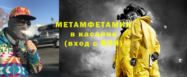 прущие грибы Бронницы
