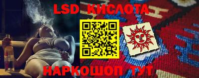 крисы Малгобек