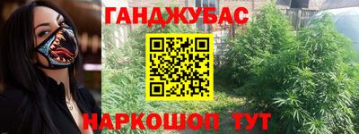 крисы Малгобек