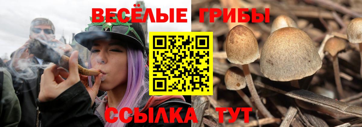 Псилоцибиновые грибы мухоморы Великий Устюг