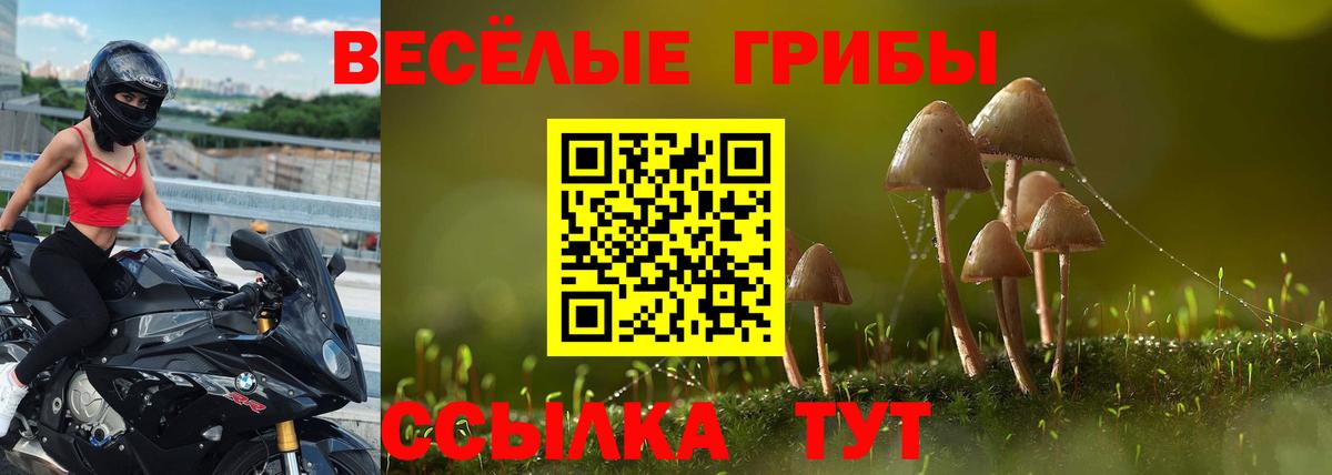 Галлюциногенные грибы Psilocybe  Галлюциногенные грибы Magic Shrooms  Великий Устюг  Вход с VPN 